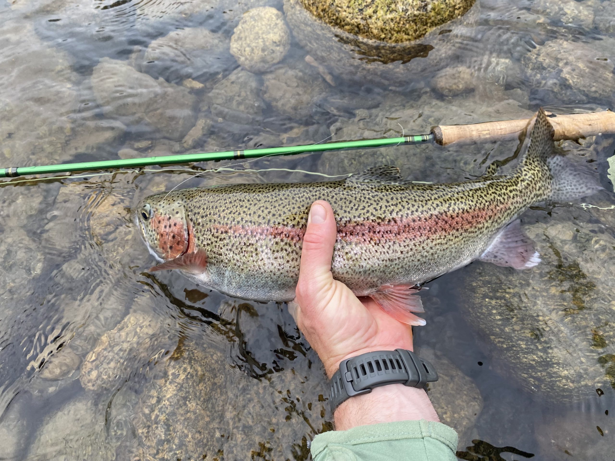 August Fishing Report: Give into the Ways of the Bead - The Alaska Current